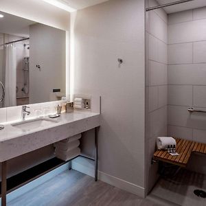 King Room Roll Shower Disability Access